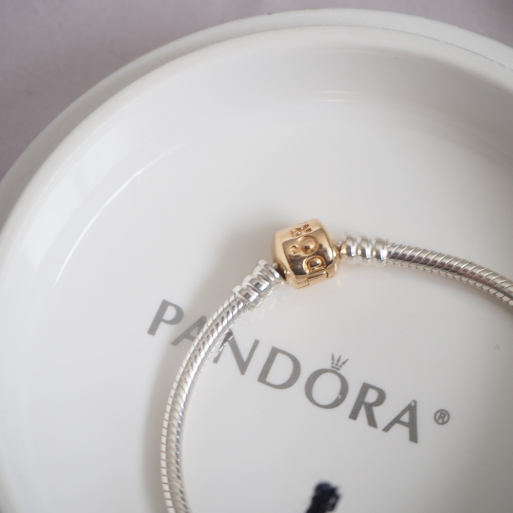 Pandora Sterling Silver w/ 14K Gold Clasp 590702HG